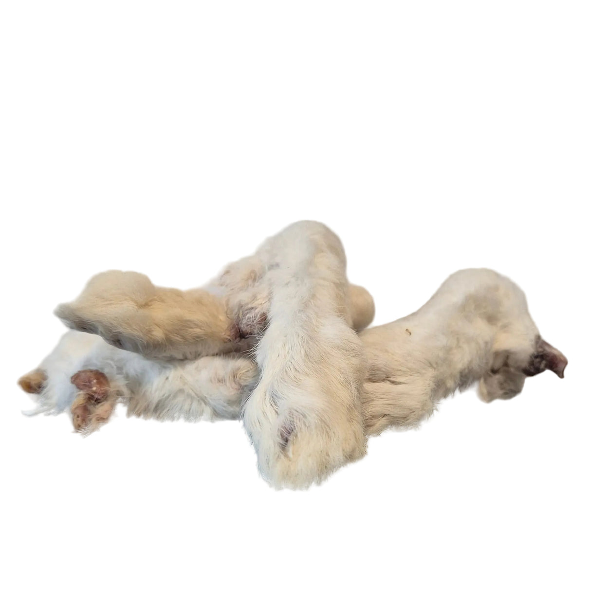 Kaninchenpfoten mit Fell getrocknet