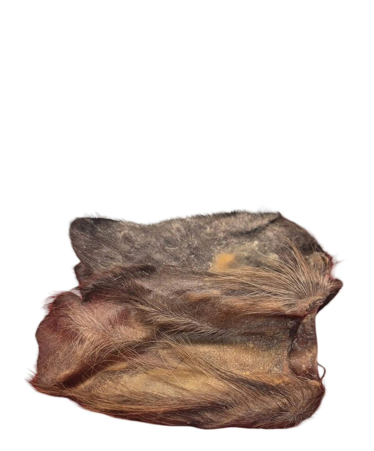 Pferde-Ohren mit Fell getrocknet