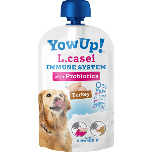 YowUp! L. Casei Immune System Turkey Hund