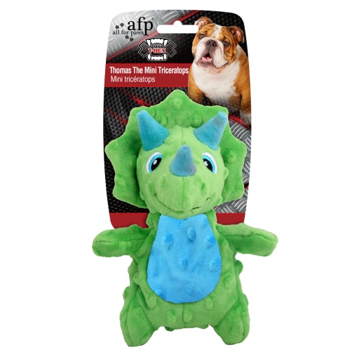 AFP Thomas the Triceratop