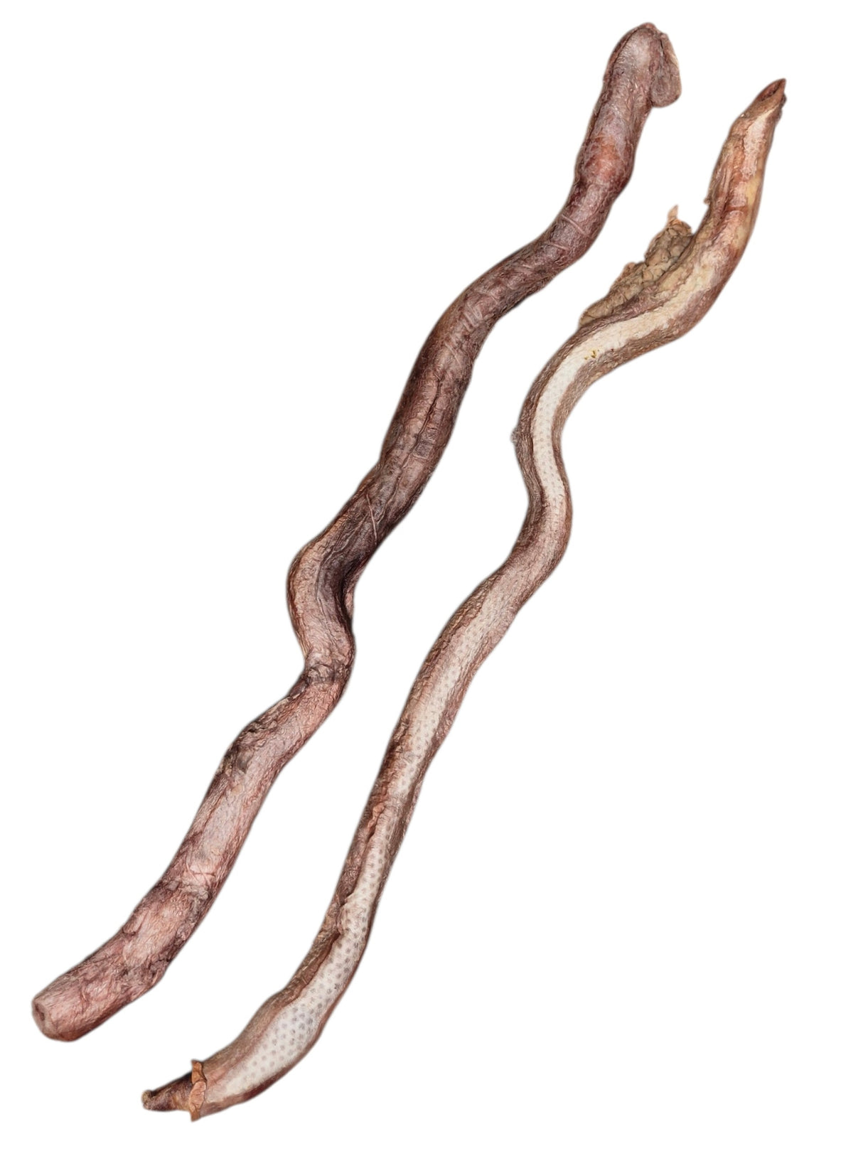Ochsenziemer XXL Gefriergetrocknet 60-90 cm