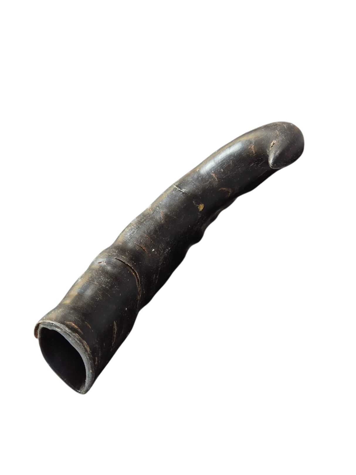 Büffelhorn getrocknet 18-22 cm