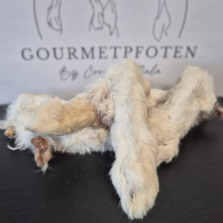 Kaninchenpfoten mit Fell getrocknet