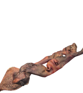 Rindernase XXL getrocknet Stück