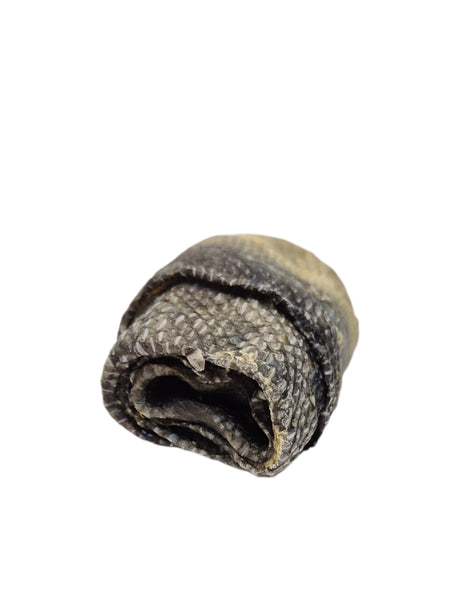 Dorschhaut Roulade getrocknet