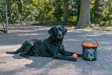 Hunde Kometenschauer Spielballset
