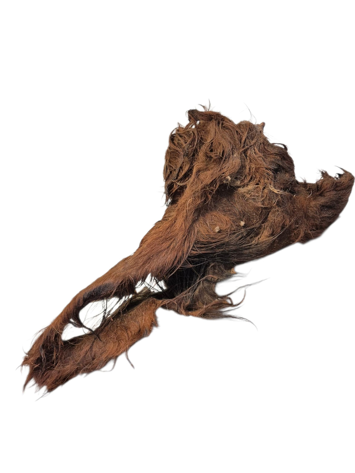 Rinderohren mit Fell XXL Stück