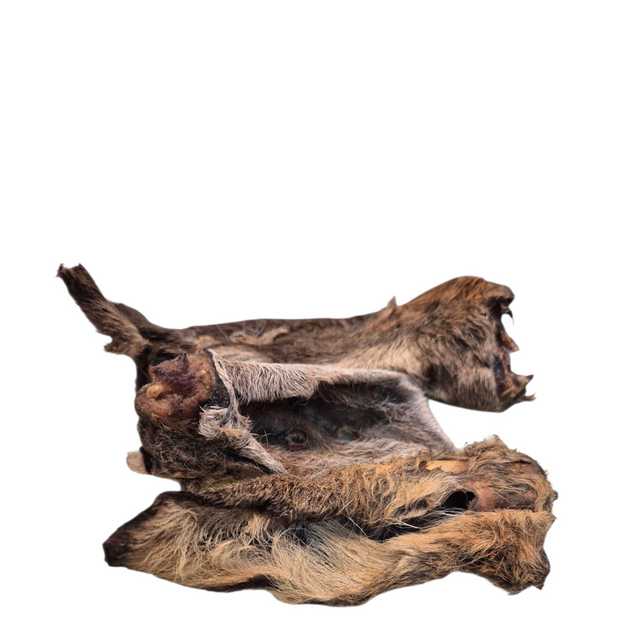 Rehohren mit Fell getrocknet