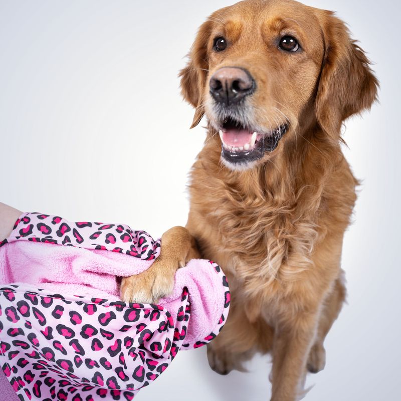 Max & Molly Hundehandtuch Leopard Pink