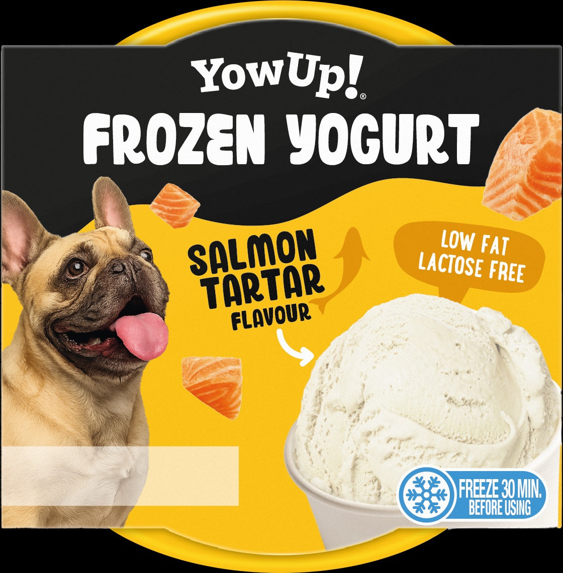 YowUp Frozen Yoghurt Salmon Tartar