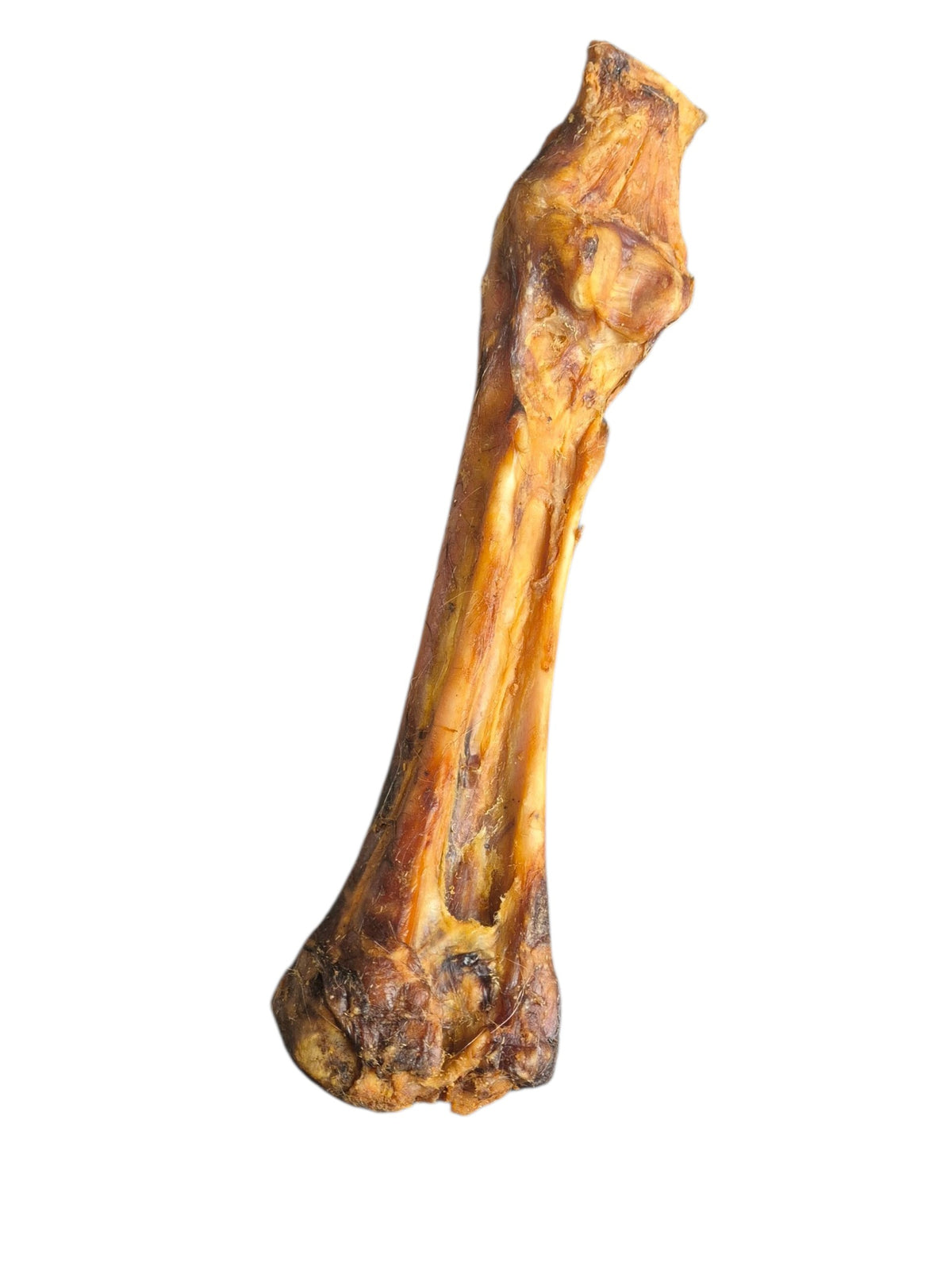 gourmetpfoten.de natürlicher, luftgetrockneter Rinderknochen als langanhaltender Kauartikel zur Zahnpflege für Hunde