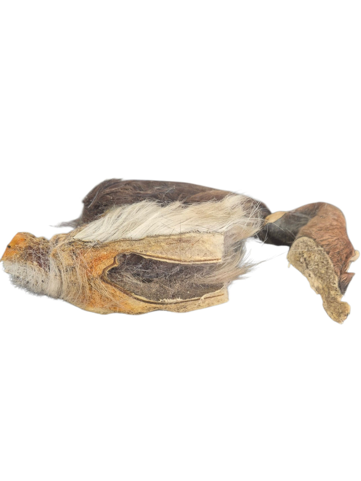Naturbelassener gourmetpfoten.de Kausnack mit Fell für Hunde zur natürlichen Zahnpflege und Beschäftigung