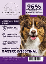 Trockenfutter Gastrointestinal