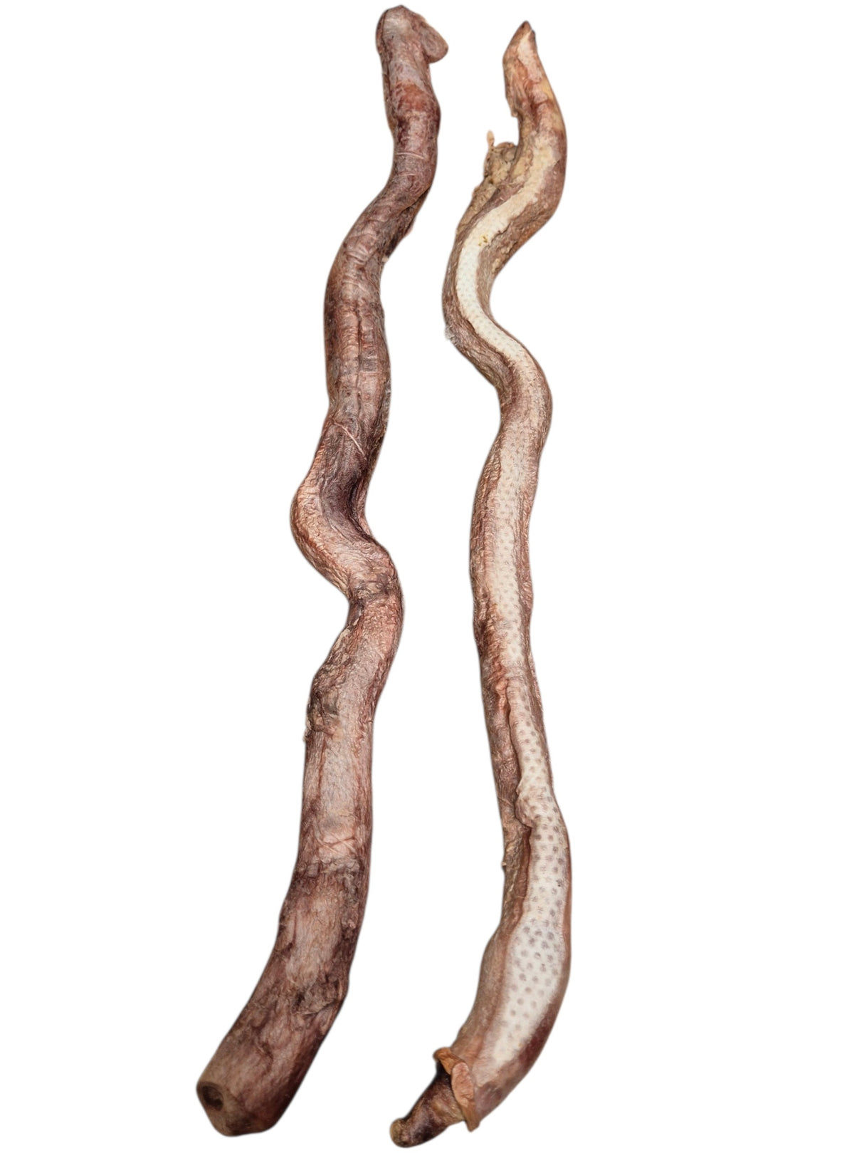 Ochsenziemer XXL Gefriergetrocknet 60-90 cm