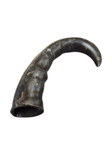 Büffelhorn getrocknet 18-22 cm