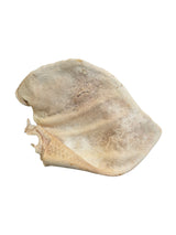 Schweineohren gefriergetrocknet